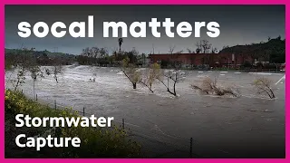 What Happens to Water Runoff When It Rains?  | SoCal Matters | PBS SoCal