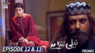 Neeli Zinda Hai Episode 12 & 13 - Promo - ARY Digital Drama