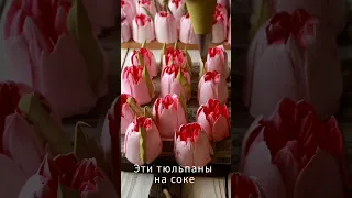 Зефирные ТЮЛЬПАНЫ на Соке🌷РЕЦЕПТ от @astra.zefir🌿Мarshmallow TULIPS on Juice Recipe