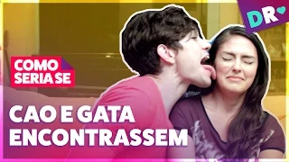 SE O CÃO E A GATA SE ENCONTRASSEM | COMO SERIA SE | DRelacionamentos