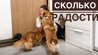 ЧТО ДАРЮ ПАПЕ на ДР 🥳сделал сюрприз мне 🎁Вернулась домой💕