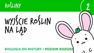 Rośliny 2 - Wyjście roślin na ląd - wstęp do roślin lądowych - biologia do matury liceum rozszerzona