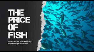 The Price of Fish - full documentary