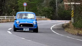 Classic MINI in Japan.