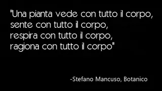 Le Piante sono intelligenti? Lezione di Stefano Mancuso, Botanico.