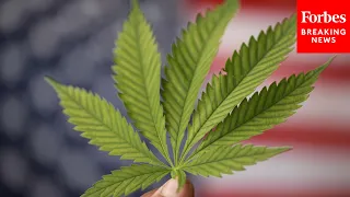 Top Democrats promote legalizing marijuana
