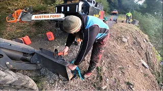 Im Wald kannst  du alles Reparieren!