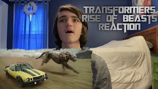 Transformers: Rise of the Beasts Reaction!!!!!!!!!!