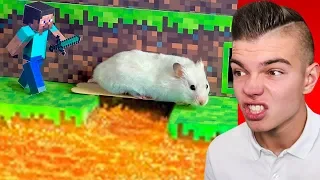 CHOMIK vs SZALONY TOR PRZESZKÓD z Minecraft w Prawdziwym Życiu!