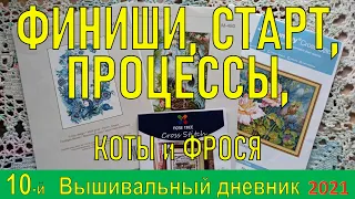 Вышивка крестом 2021 октябрь , ФИНИШИ, СТАРТ, ПРОЦЕССЫ, Чарівна Мить, ФрузелОк, Joy Sunday, AmiShop