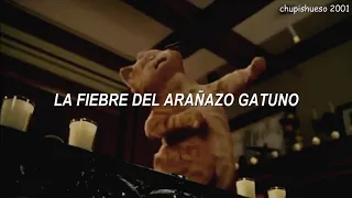 la canción que baila Garfield😹