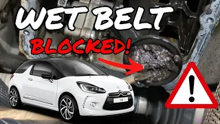 Wet Belt Replacement. The worst one I've seen! 2017 Citroen DS3 1.2 Petrol