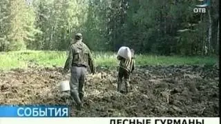 В Ревде лесных зверей встречают хлебом-солью