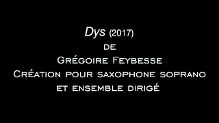 DYS Gregoire Feybesse