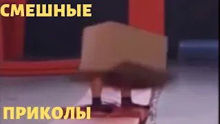 НОВОЕ СМЕШНОЕ ВИДЕО ЛУЧШИЕ РЖАЧНЫЕ ВИДЕОПРИКОЛЫ Best funny jokes