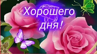 Пусть счастье всюду тебя находит и удаются все дела! 🌷🌺🐞ХОРОШЕГО ДНЯ ☀️ #музыкальнаяоткрытка