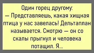 🤡Гости Собираются Уходить...Большой Сборник Смешных Анекдотов,Для Супер Настроения!