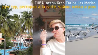 141. отель Gran Caribe Las Morlas, рум тур, чайки и океан 🌊 лгбт пара