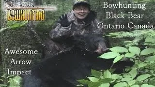 Bow Bear lady hunter Canada where to shoot a black bear perfect arrow shot placement