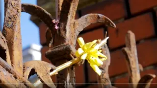 12 апреля, дело к вечеру, к дому через новостройки, вдоль жд, дач,,, Не #луафАсра