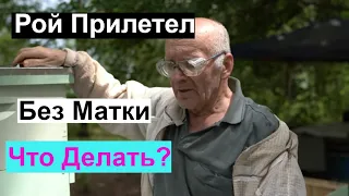 Пасека#135 Рой Прилетел Без Матки  Пчеловодство для начинающих