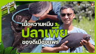 ปลาเพี้ย เนื้อหวานหนึบ ของดีเมืองแพร่ | มหาอำนาจบ้านนา