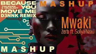 Mashup Zerb Mwaki + Because You Move Me Tinlicker & Helsloot Sofiya Nzau D3nnK