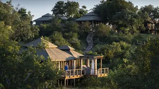 African Inspiration Journeys: The Simbavati Hilltop Lodge Experience