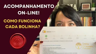 Acompanhamento on-line … conheça todos os passos da Cidadania Portuguesa dentro da Conservatórias!