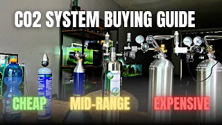 BEST CO2 SYSTEM FOR BEGINNERS?🤔 CO2 SYSTEM BUYING GUIDE!💵