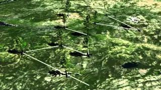 Plant A Billion Trees Using Drone - Invention.Network