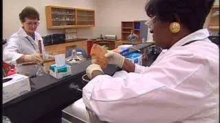 Inside a Food Laboratory