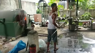 Making of glass bowls/terrarium bowl with driftwood base in Bali