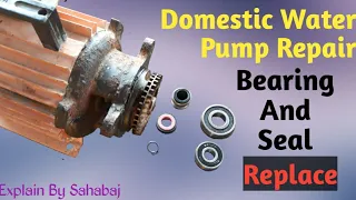 Full Guide_Domestic Water Pump Repair_Bearing and Seal Replace In Hindi