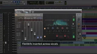 SSL Native FlexVerb - Hear It In Action