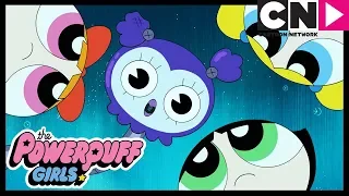 Суперкрошки | Безумный мини-гольф | Cartoon Network