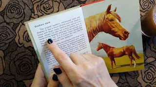 ASMR | All About HORSES - Vintage Ladybird Book (1965) - Part One - Whispered Reading - with Coffee!