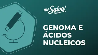 Genoma e Ácidos Nucleicos - Biologia Molecular - Me Salva! Saúde