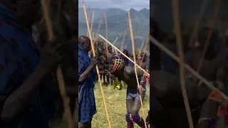 Suri tribe stick fight Donga #shorts #ethiopia #omovalley #omoadvisor #omoriver #short #shortvideo