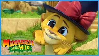 Alex Does Magic 🪄 | DreamWorks Madagascar