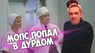 КАК МОПС СЪЕЗДИЛ В ДУРДОМ | ВЫЛИЛ КИПЯТОК НА ОТРЯДНИКА