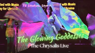 The Chrysalis Live Performance by the Glowing Goddesses | Lyrical Belly Dance with Isis Wings