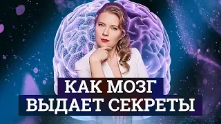 Как Мозг Выдает ваши Секреты. Лживый мозг и Честный Мозг