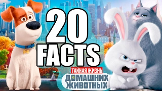 20 фактов о мультфильме Тайная жизнь домашних животных | Movie Mouse