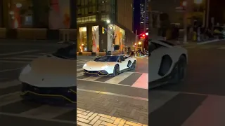 Beautiful Lamborghini Aventador Ultimae Roadster With A STARDROPPER Exhaust.