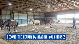 D/C  READ YOUR HORSE TO STEP INTO RESPECTED LEADERSHIP