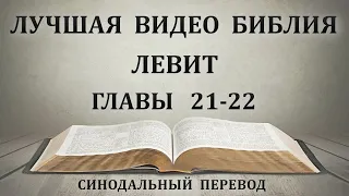 День 46. Чтение Библии. Левит. Главы 21-22. Синодальный перевод