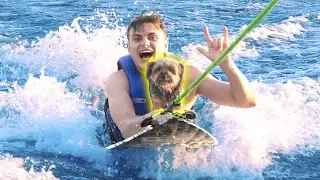 SURFING WITH MY DOG!!