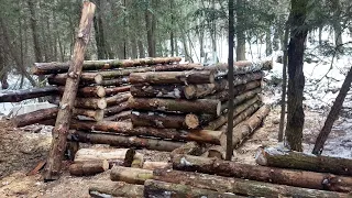 Building a LOG CABIN in the Woods!