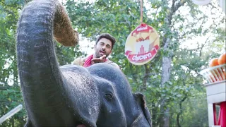Elephant Loves Pizza - Haathi Mere Saathi Movie Scene | Rana Daggubati, Pulkit Samrat, Zoya, Shriya